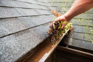 DIY Gutter Cleaning