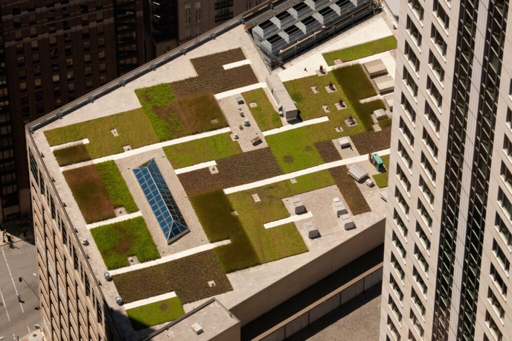 Green Roof for Your Commercial Building