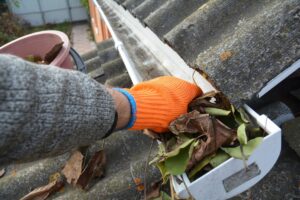 Gutter Cleaning