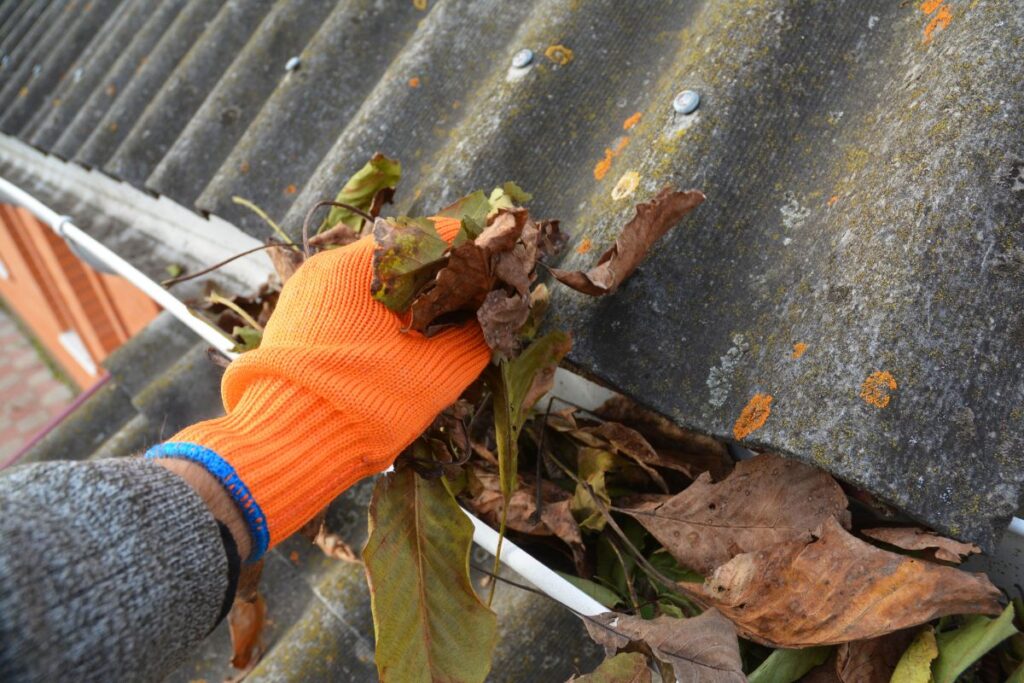 Gutter Cleaning and Moss Removal