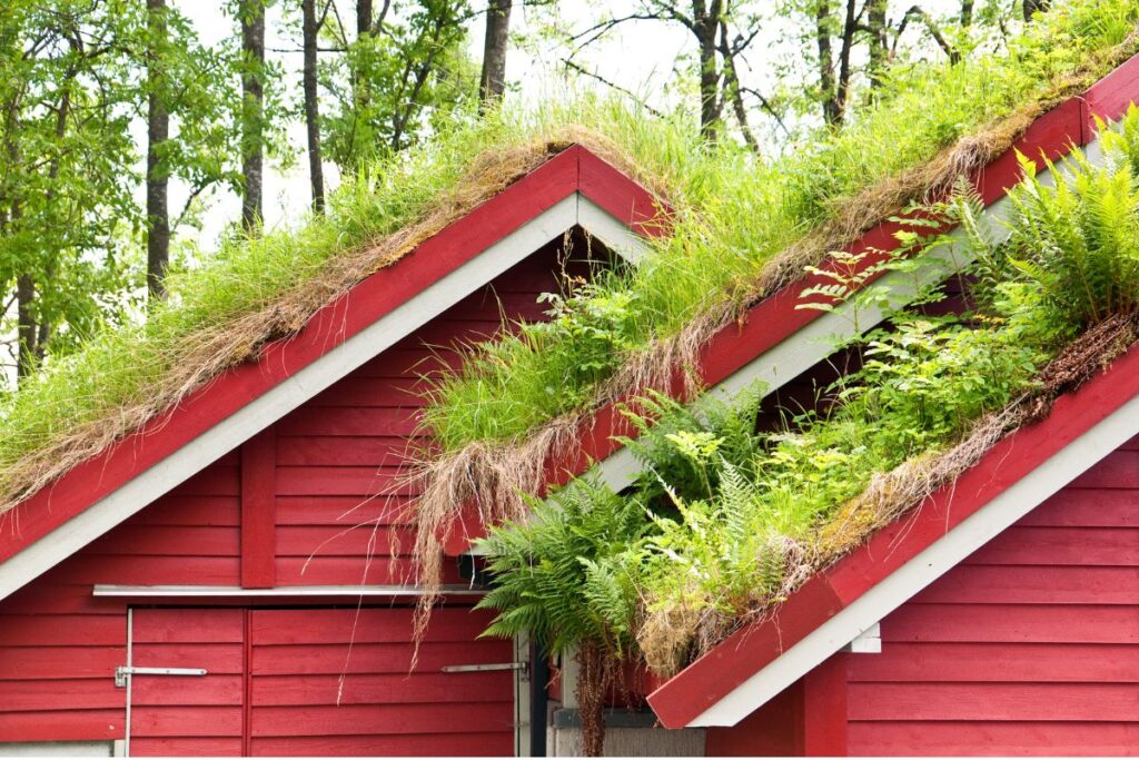 Maintenance Green Roof