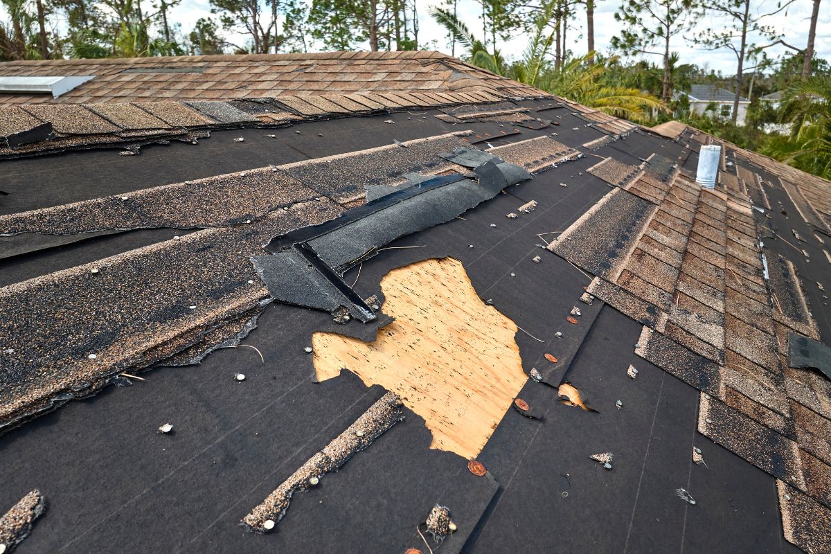 5 Signs It's Time To Replace Your Roof Shingles What To Look For
