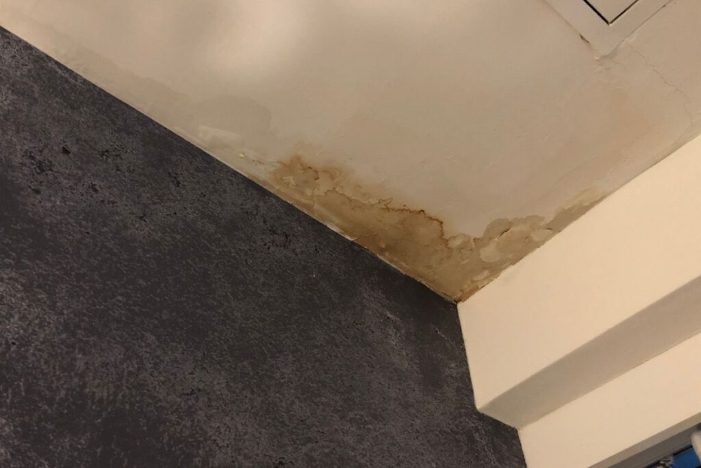 Roofs Leaking