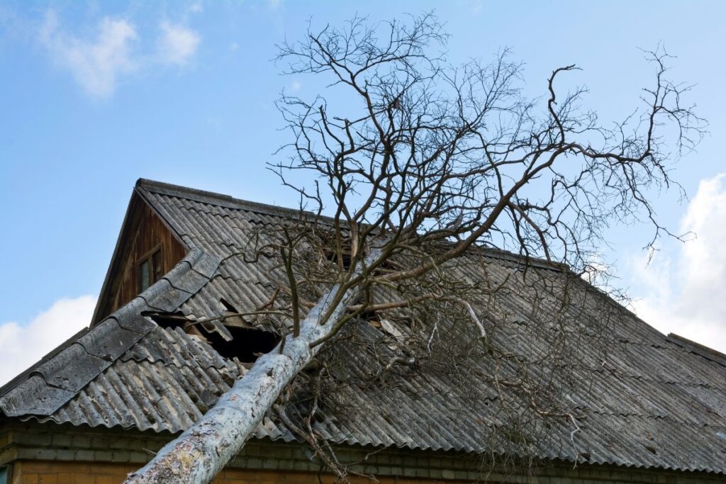 Storm Damage on Your Roof